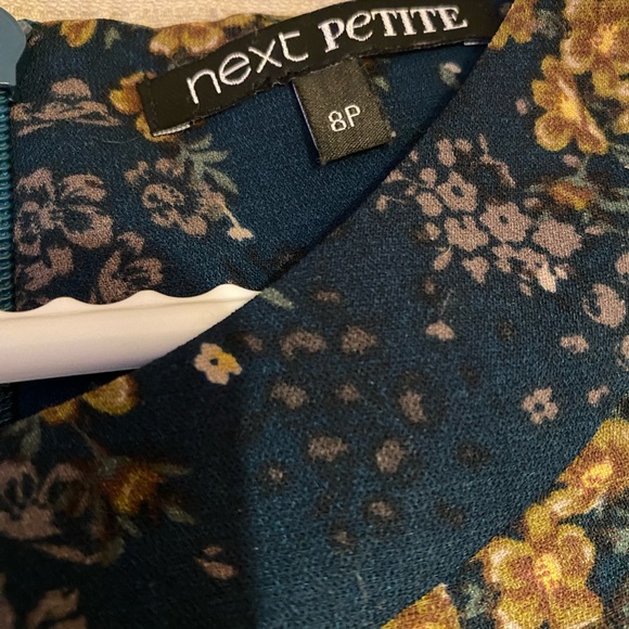 Next Dress - Picture 4 of 5